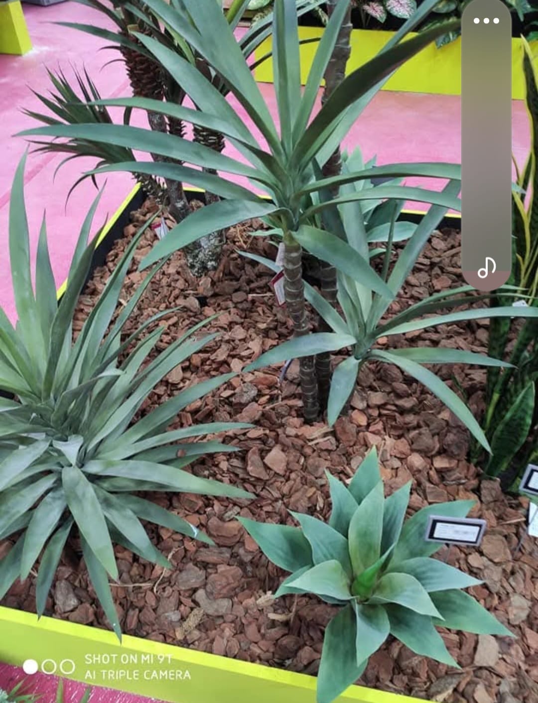Flores y plantas artificiales 10